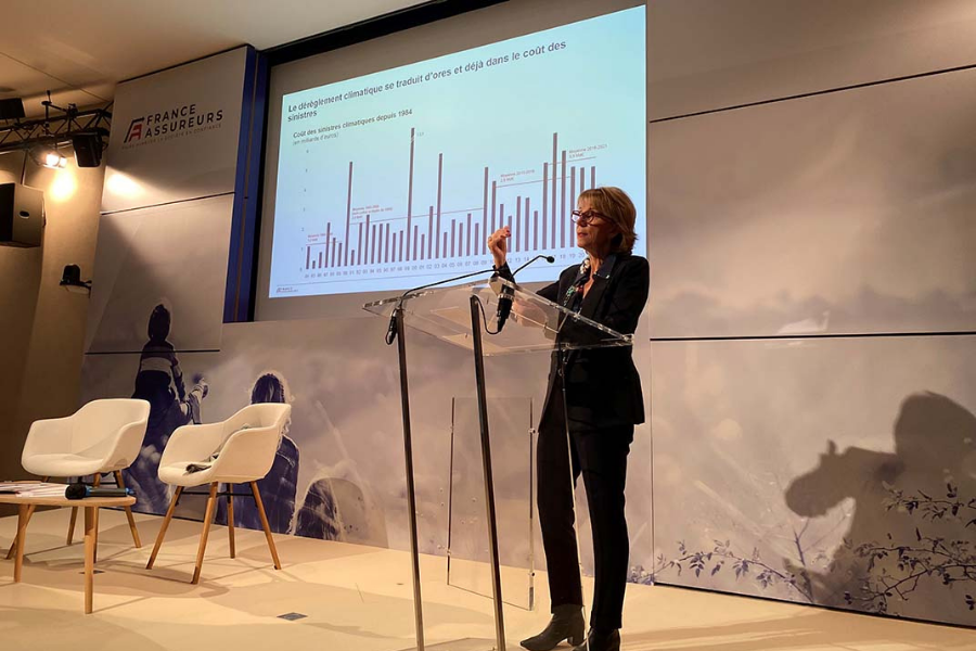 Bilan 2021 France Assureurs