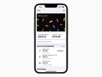 Apple Pay Later