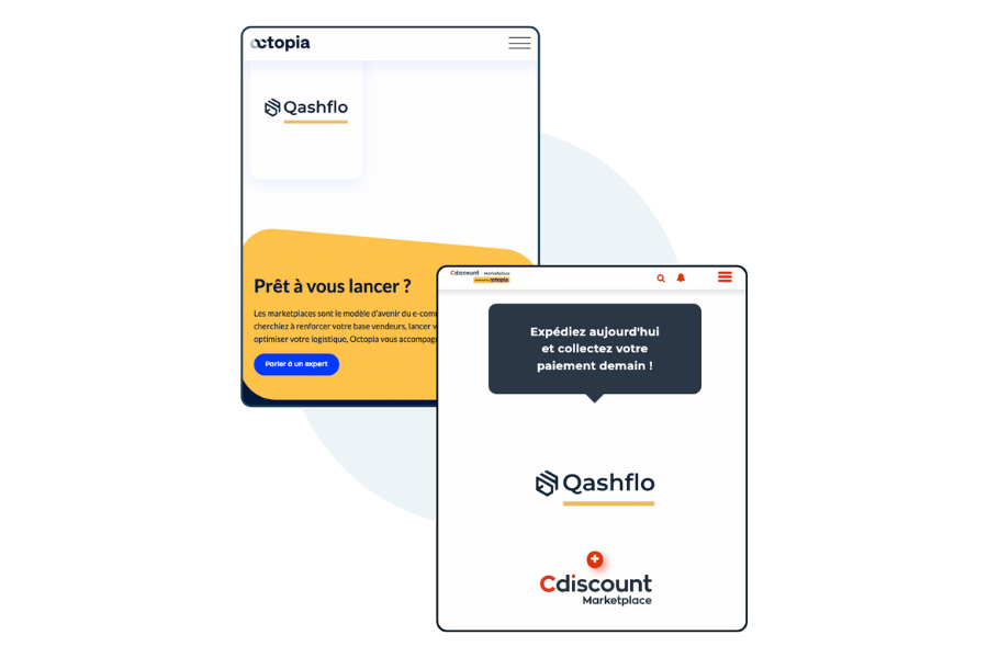 Qashflo One Day Payment