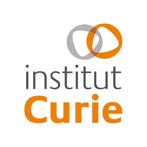 Image Institut Curie