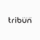 Tribun Health (ex TRIBVN Healthcare)