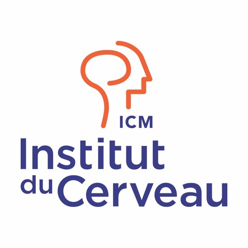 Image Institut du Cerveau