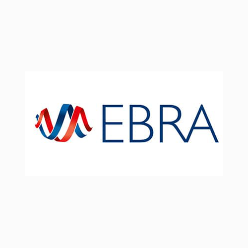 Image Groupe EBRA