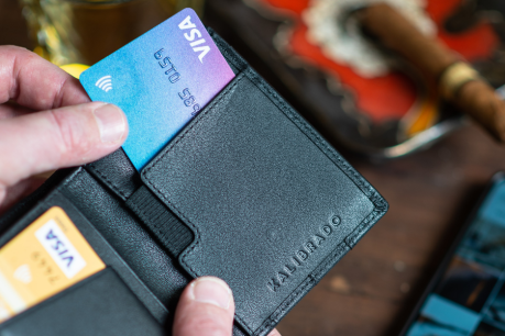 Image à la une de l'article EPI abandonne la création d’un scheme carte