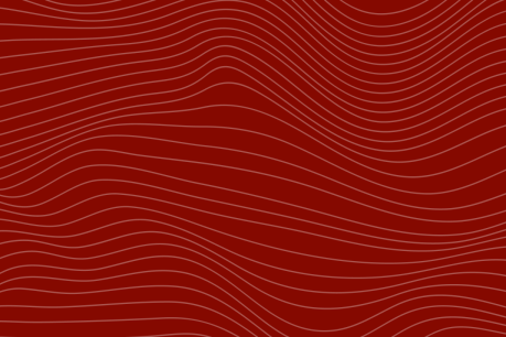 Image à la une de l'article MiCA : les prestataires de services sur cryptoactifs (CASP) agréés au niveau européen