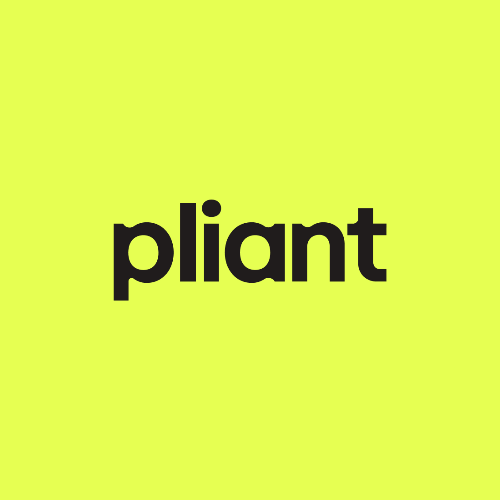 Portrait Pliant