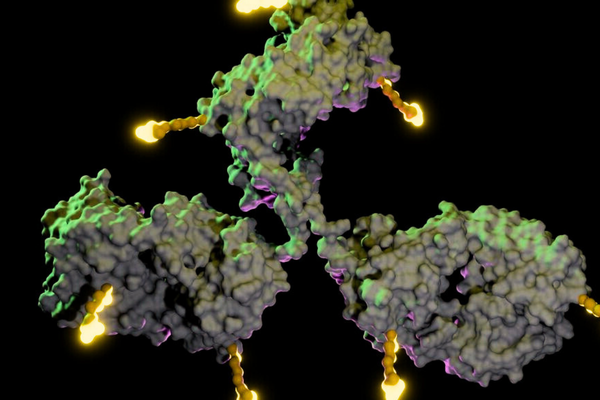 Image à la une de l'article TENDANCES 2026 – Biomédicaments en oncologie : l’essor des ADC se confirme