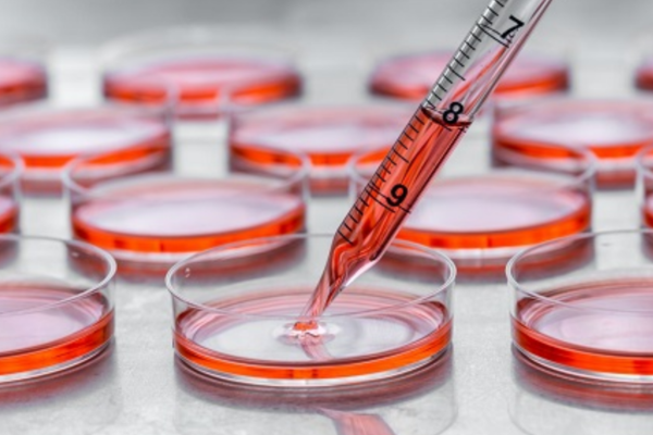 Image à la une de l'article Accès précoce aux médicaments innovants : l’atout maître de la France