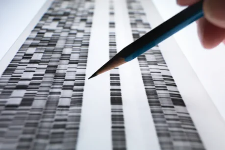 Image à la une de l'article À la découverte du dark genome