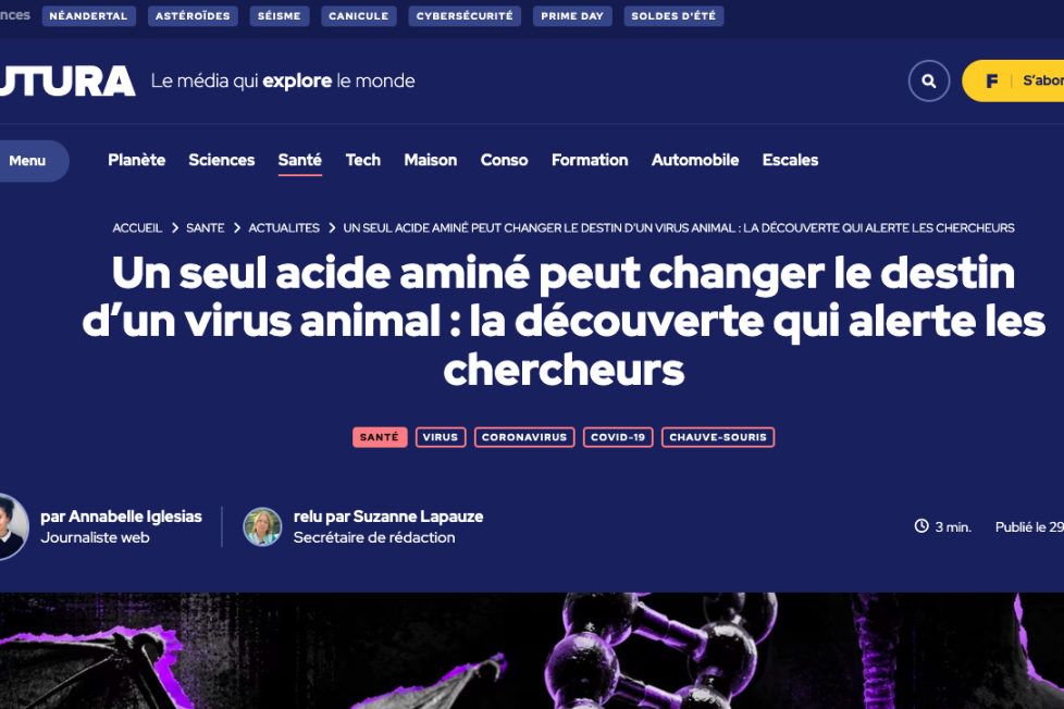 Image à la une de l'article Le média Futura veut nettement réorienter son modèle vers le freemium