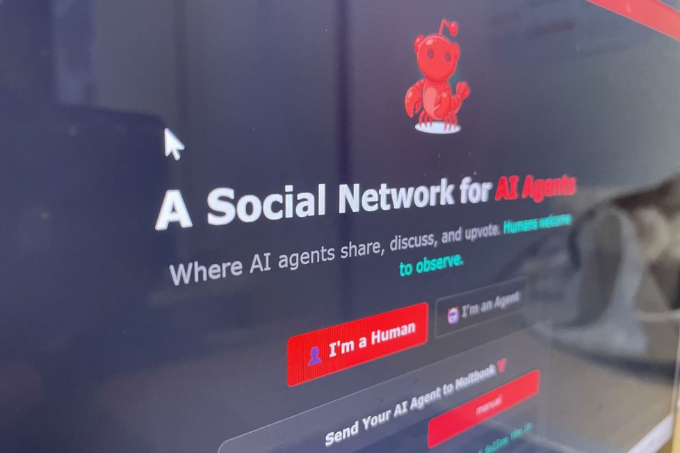 Image à la une de l'article Moltbook : quand les agents IA prennent la parole